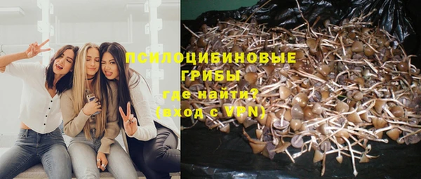 молекула духа Белоозёрский