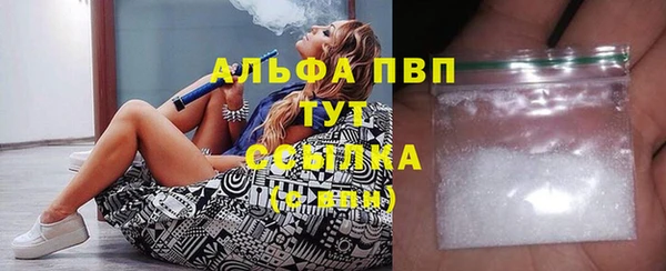 молекула духа Белоозёрский