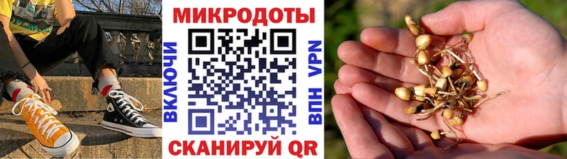 Псилоцибиновые грибы Psilocybine cubensis  цены   Валуйки 